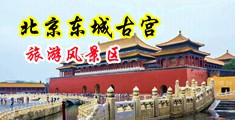 烂骚逼被大鸡巴插到底中国北京-东城古宫旅游风景区